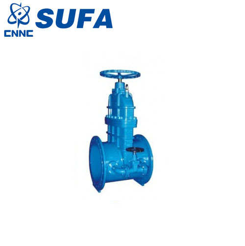 DN600帶旁通暗桿閘閥